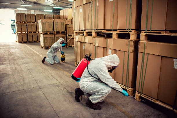 Best Rat Extermination Near Me  in Lford, MI