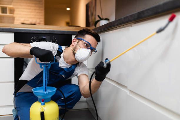 Best Termite Control Services  in Lford, MI