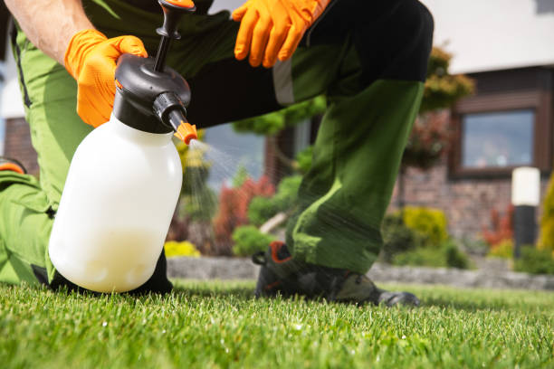 Best Pest Removal Services  in Lford, MI