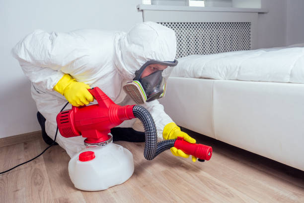 Best Affordable Pest Control Services  in Lford, MI