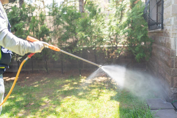 Best Insect Control  in Lford, MI