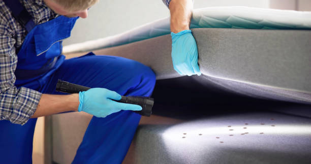 Best Local Pest Control Services  in Lford, MI