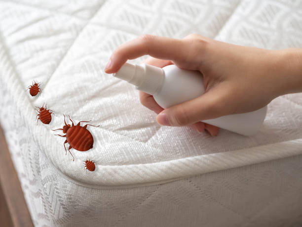 Best Best Pest Control Companies  in Lford, MI