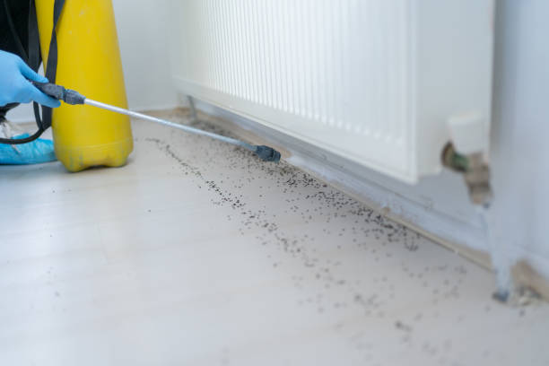 Best Residential Pest Control  in Lford, MI