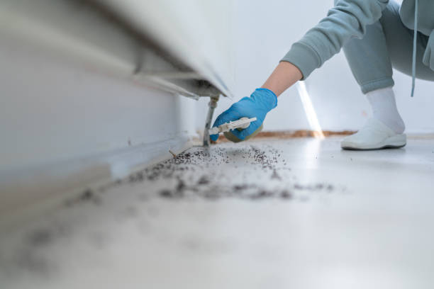 Best Cockroach Control Services  in Lford, MI