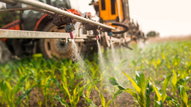 Best Best Pest Control Companies  in Lford, MI