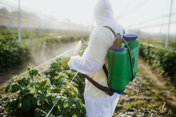  Lford, MI Pest Control Pros